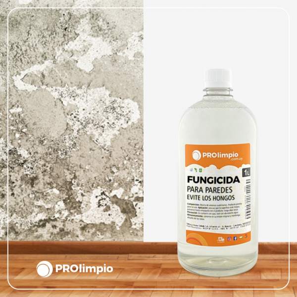 Fungicida para paredes anti hongos