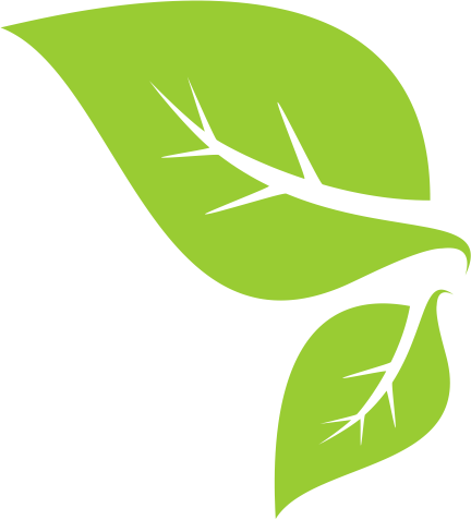 productos biodegradables